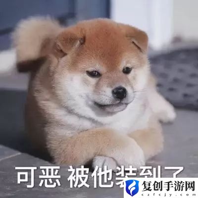 2022年最火微信头像大全 2022年最火微信头像搞笑