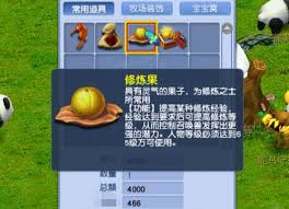 梦幻西游修炼果怎么获得