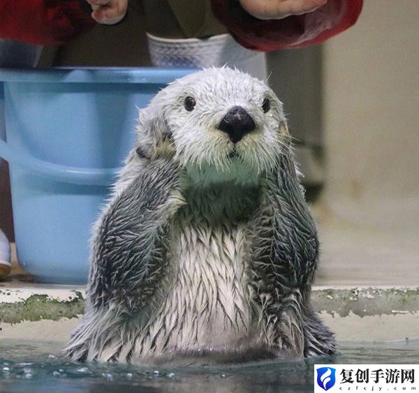 神奇海洋9.7今日答案 精准打击敌人弱点取得战斗胜利