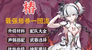 鸣潮椿最强装备选择建议